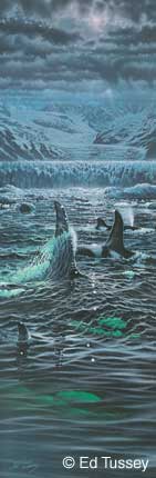 Sea Wolves, Copyright Ed Tussey. All rights reserved.